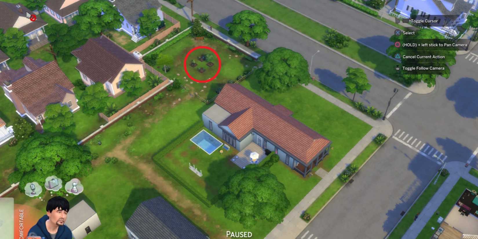 The Willow Creek garden in The Sims 4