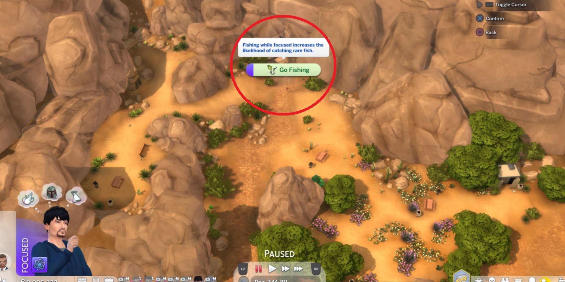 The Desert Bloom Park fishing spot in The Sims 4