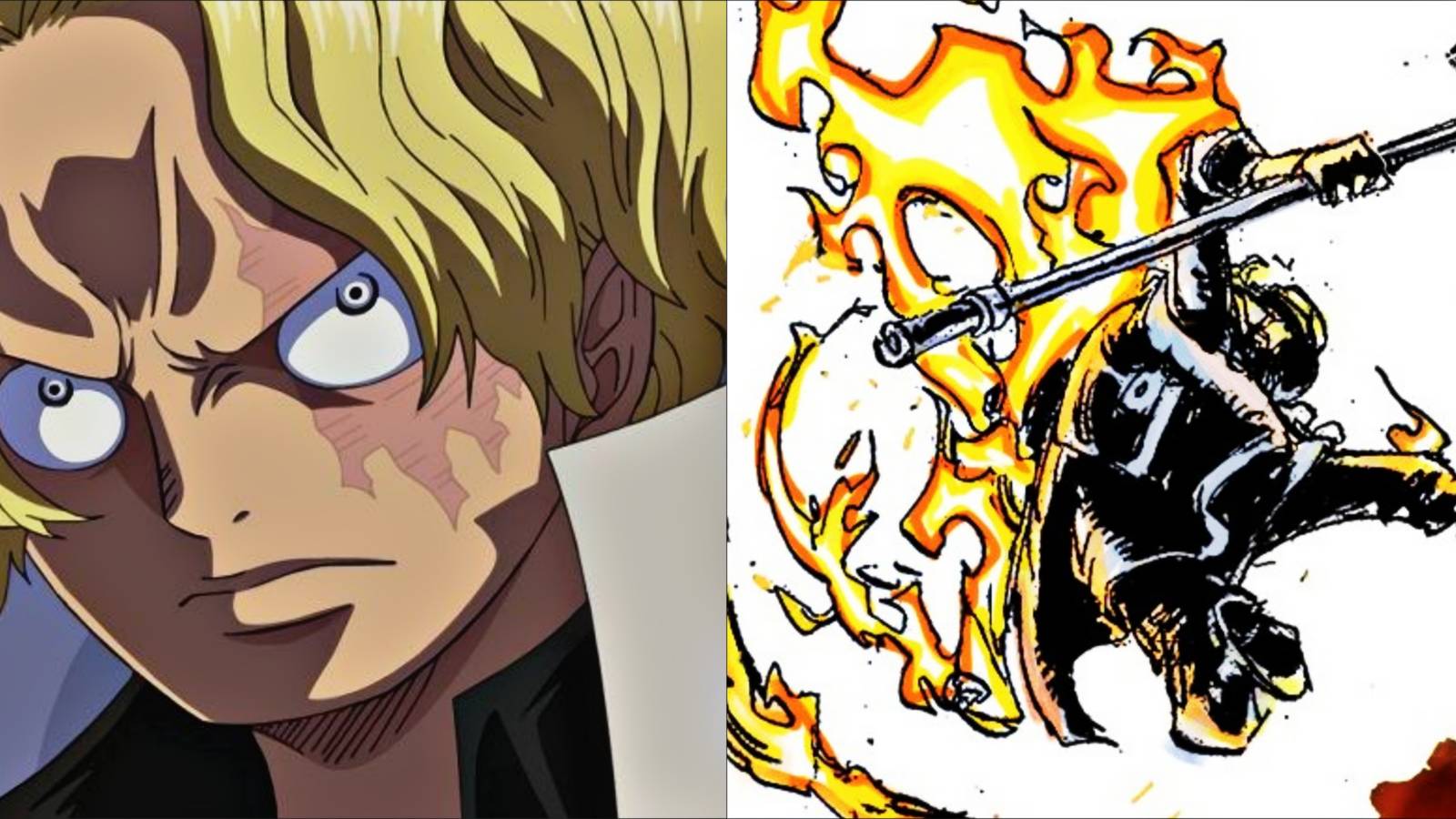 Sabo Rook Check One Piece