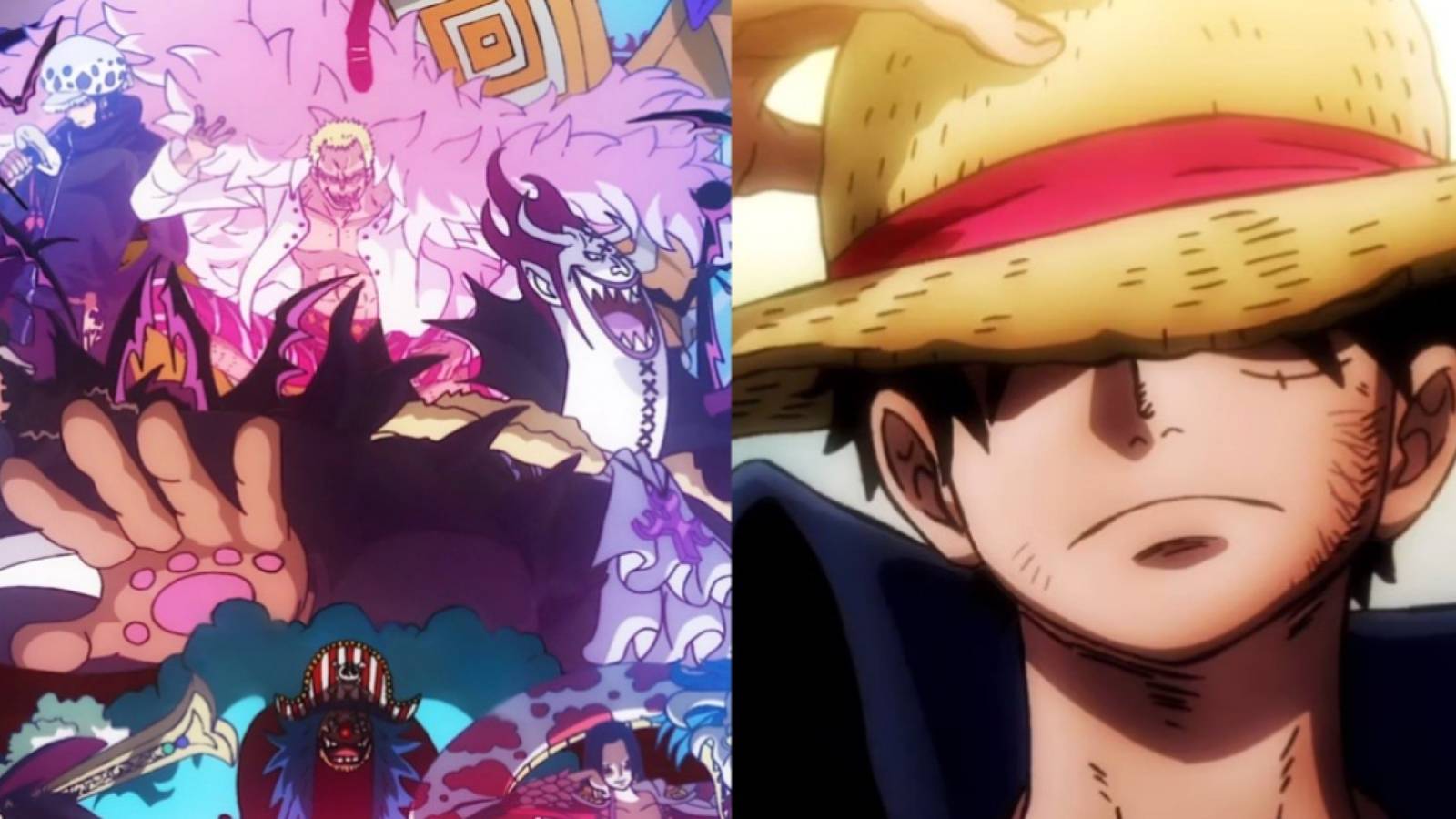 Shichibukai luffy one piece