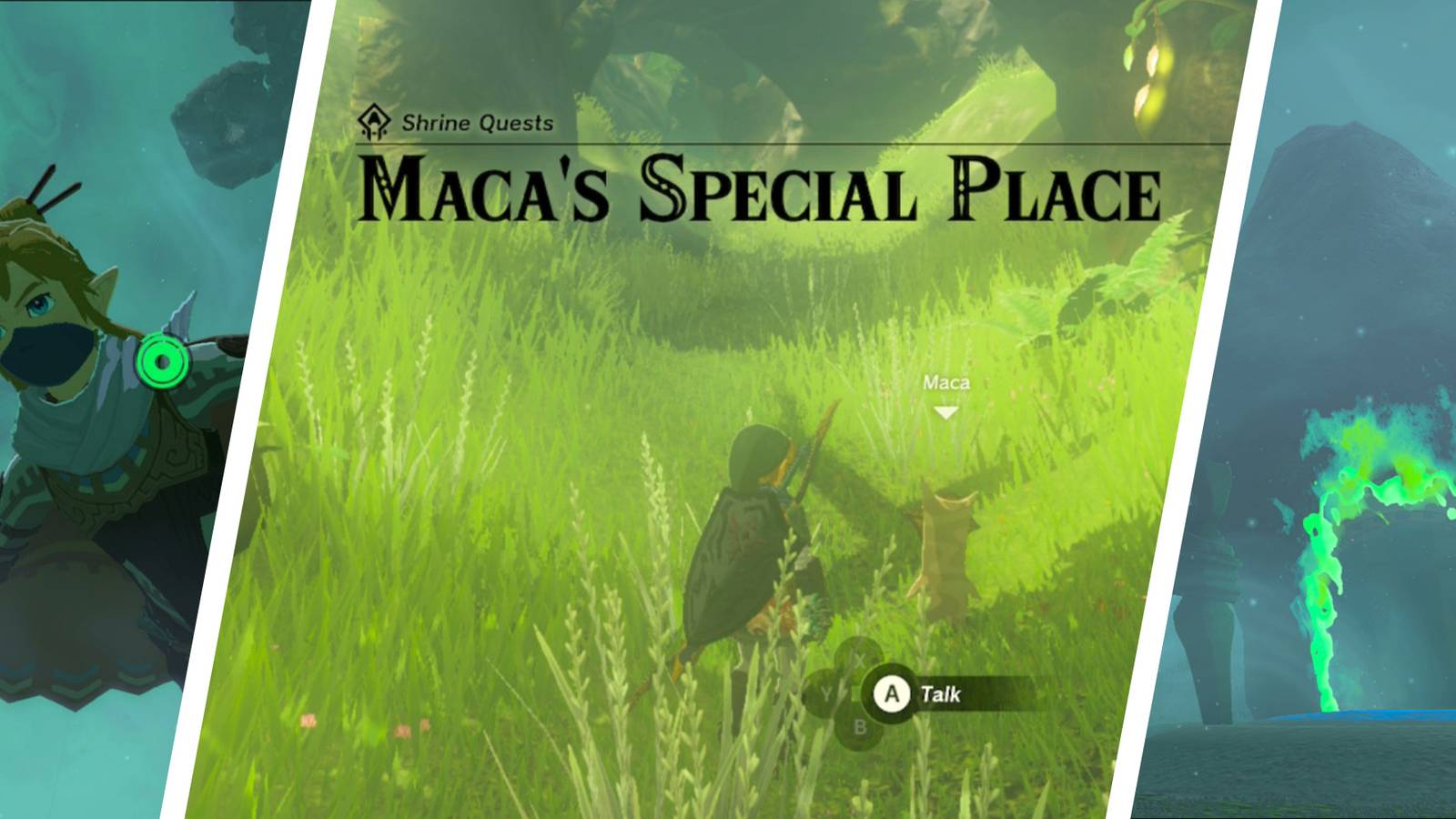 zelda tears of the kingdom maca's special place ninjis shrine