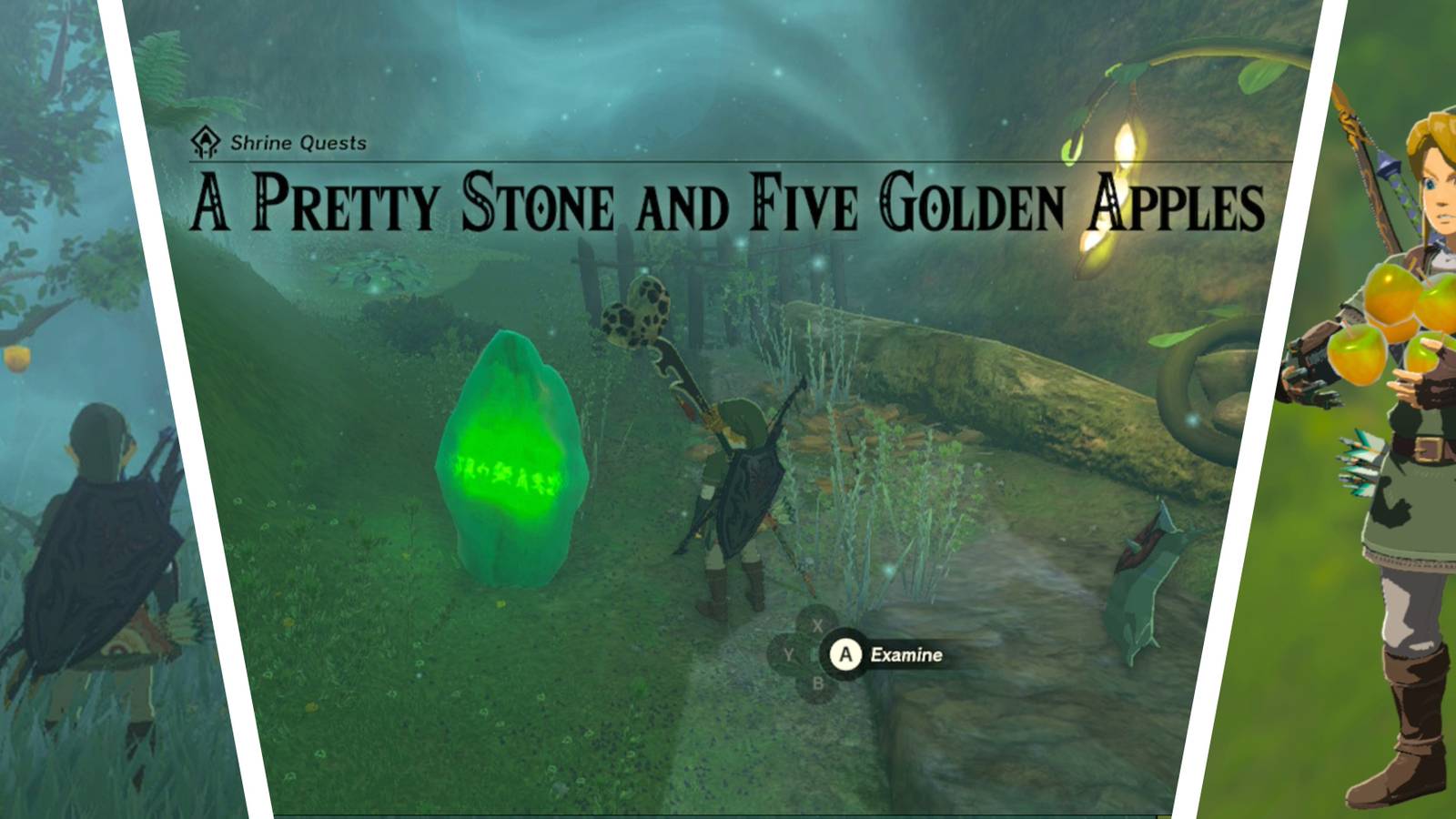 zelda tears of the kingdom pupunke shrine