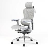 SIHOO Doro C300 Ergonomic Office Chair Review SIHOO Doro C300 Ergonomic Office Chair Review