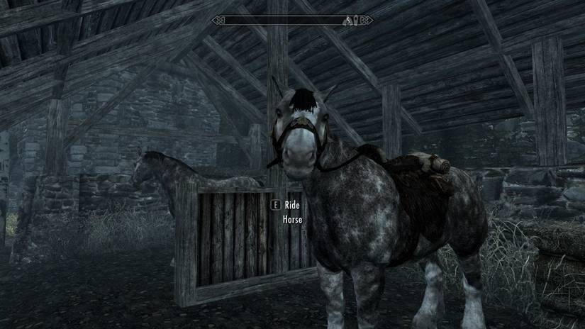 Skyrim Bought Horse
