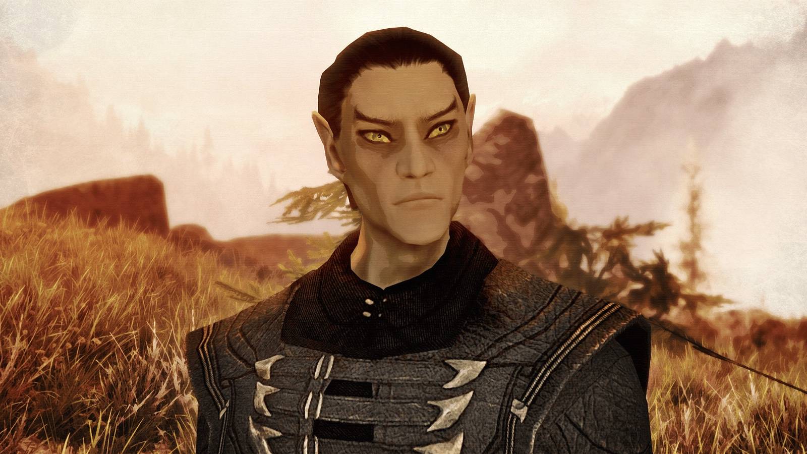 Image of a Thalmor NPC from Skyrim.