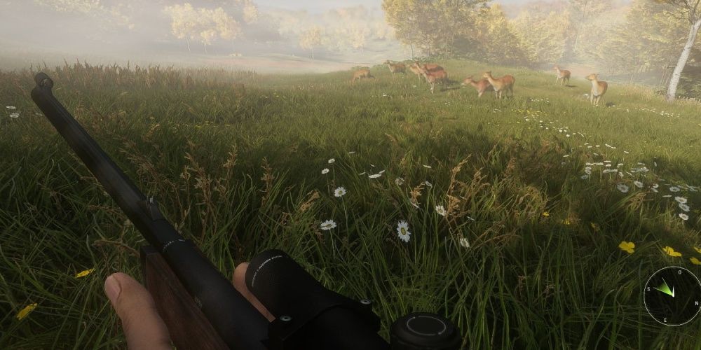 Player Sneaking Through Grass With Animals In The Distance