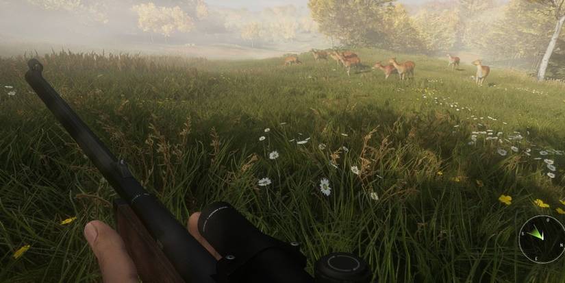 Player Sneaking Through Grass With Animals In The Distance
