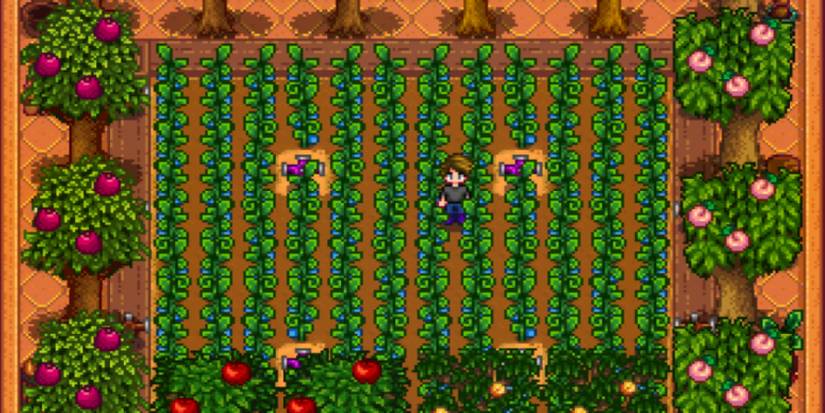 Stardew Valley Greenhouse Crops