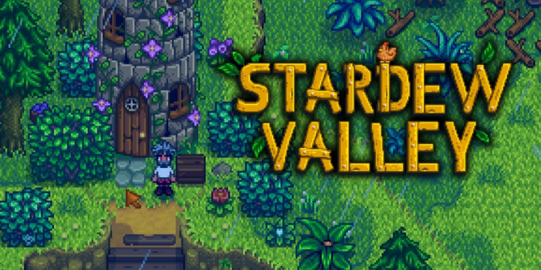 Stardew Valley How to Change Appearance