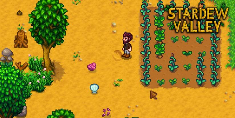 Stardew Valley How to Drop Items (1)