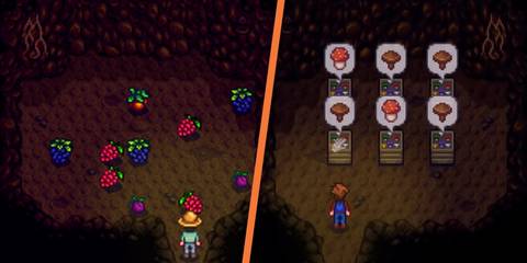 Stardew Valley Mushroom Fruit Cave
