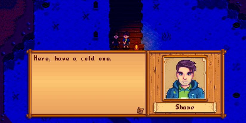 stardew valley shane and player night time