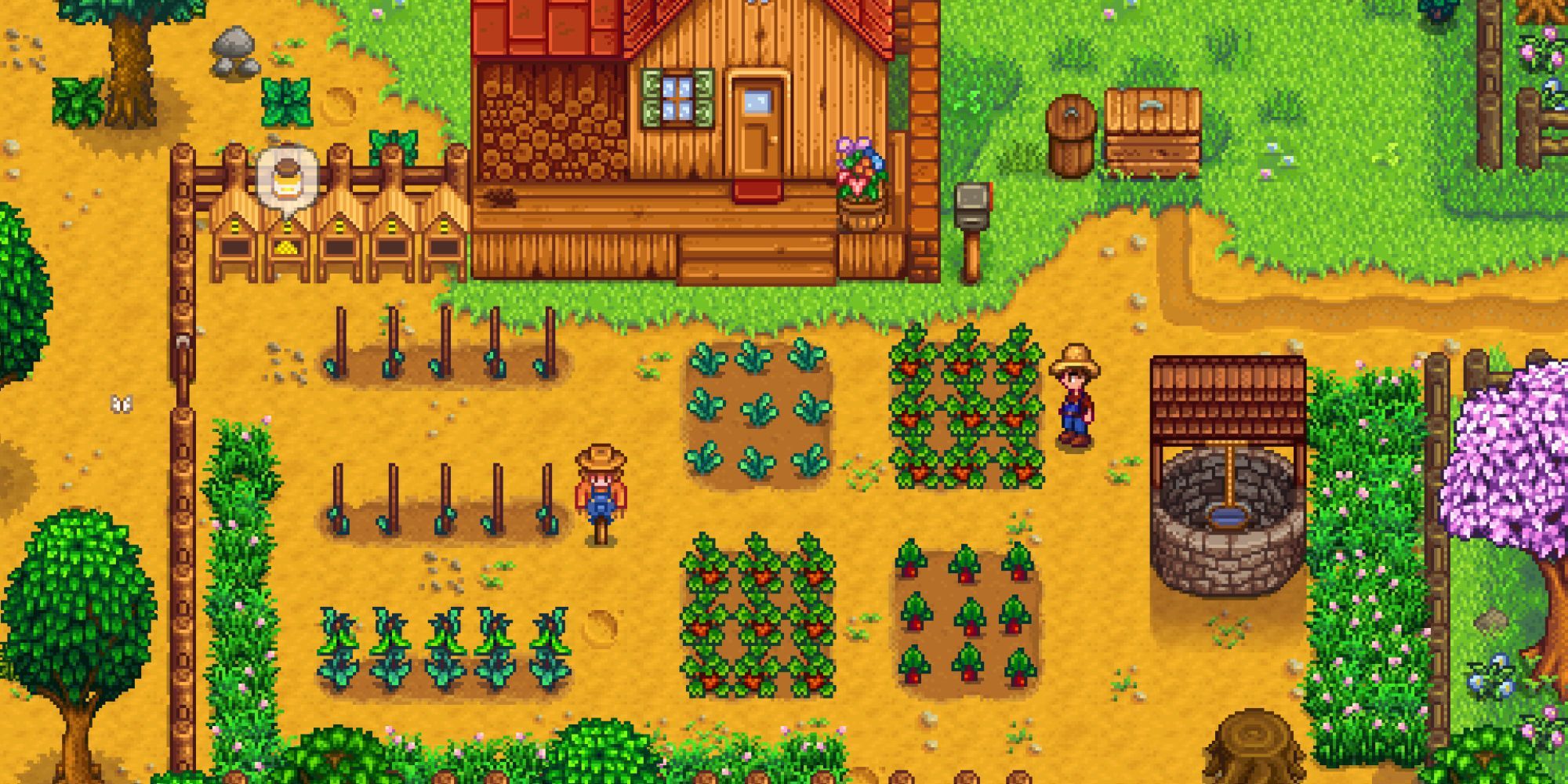 A player looking at their farm in Stardew Valley