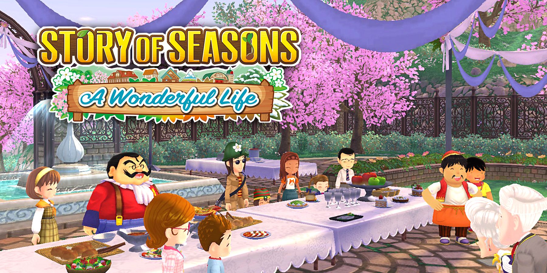 Story of Seasons: A Life Review Wonderful