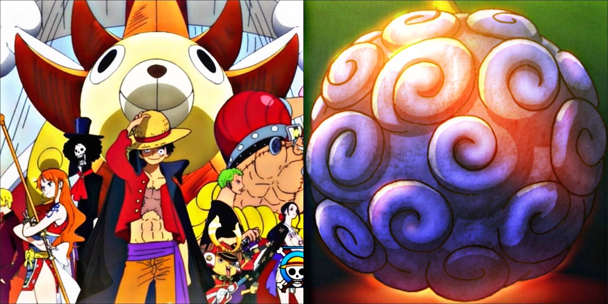 FRUIT PIRATES ONE PIECE