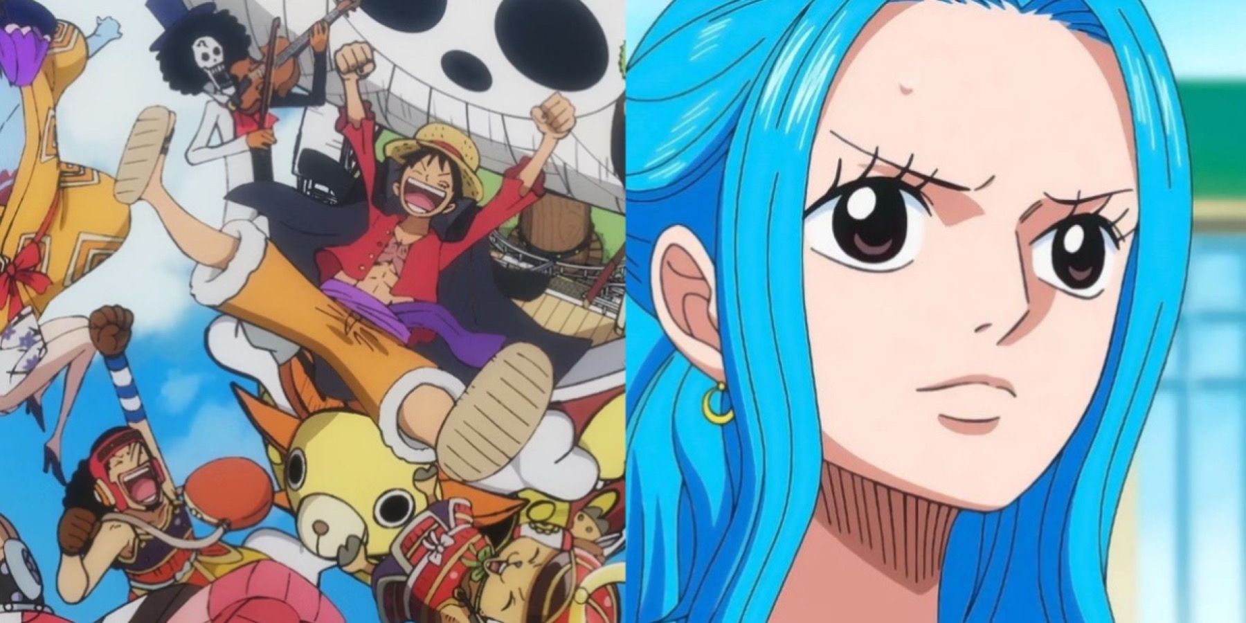 One Piece: Is Vivi the 10th Straw Hat Crewmember?