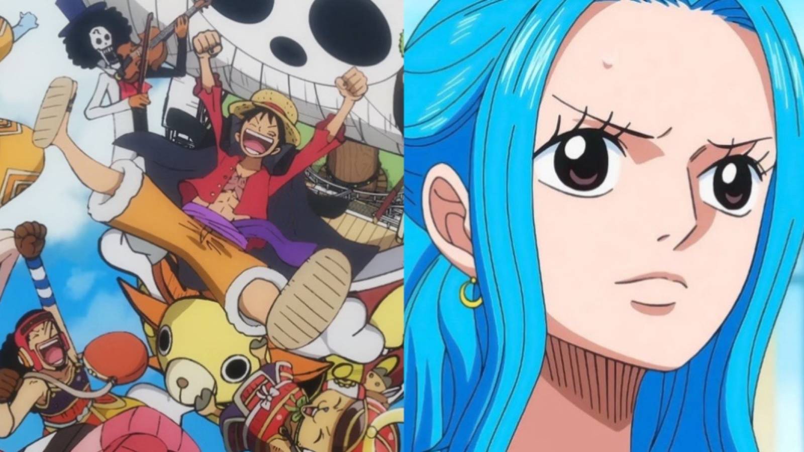 straw hats vivi one piece