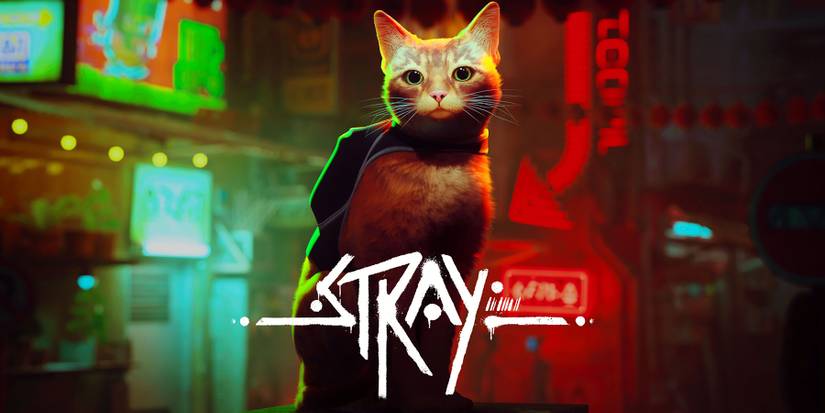 Stray Key Art