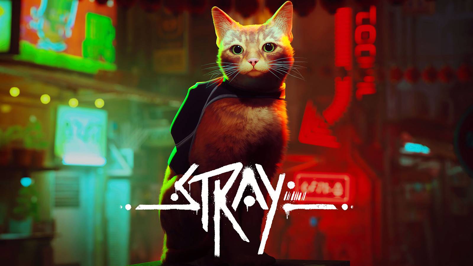 Stray Key Art