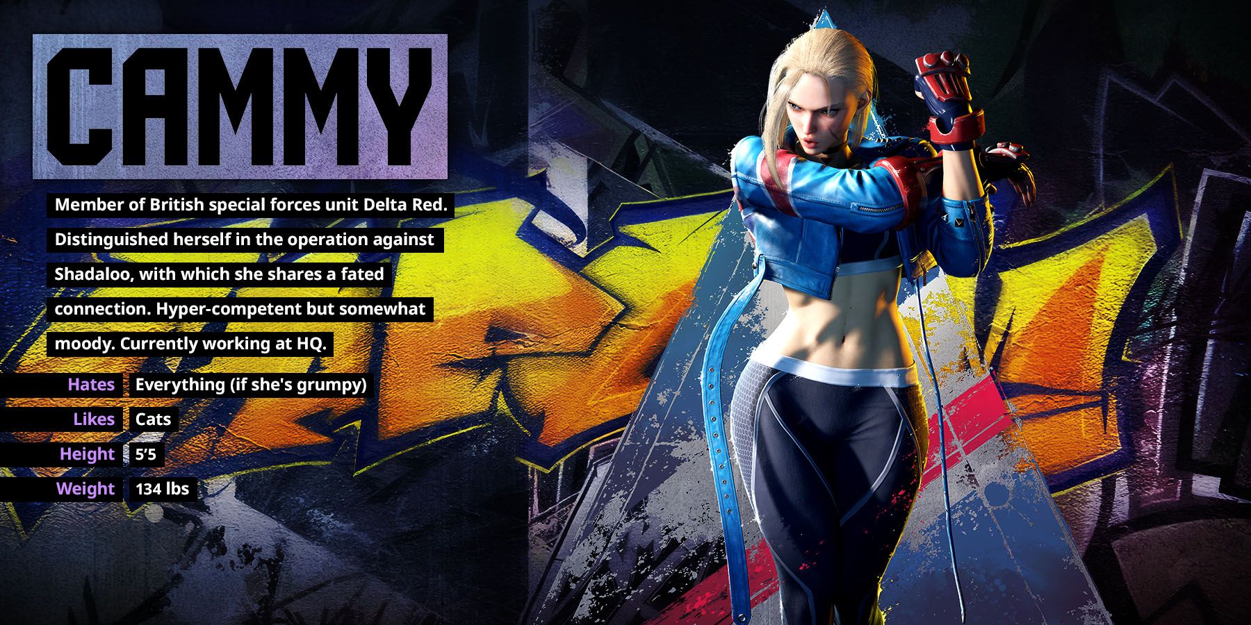 Cammy Street Fighter 6 in 2023  Cammy street fighter, Street fighter  characters, Street fighter