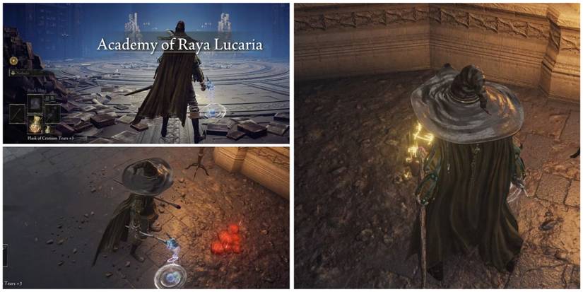 summon signs in academy of raya lucaria in elden ring