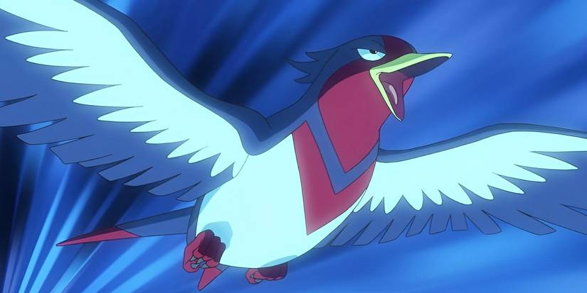 Swellow flying confidently