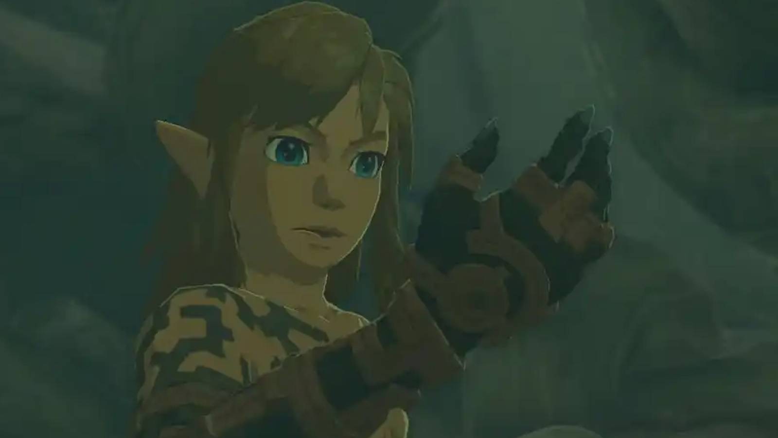 Tears of the Kingdom arm