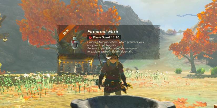 Tears of the Kingdom Fireproof Elixir