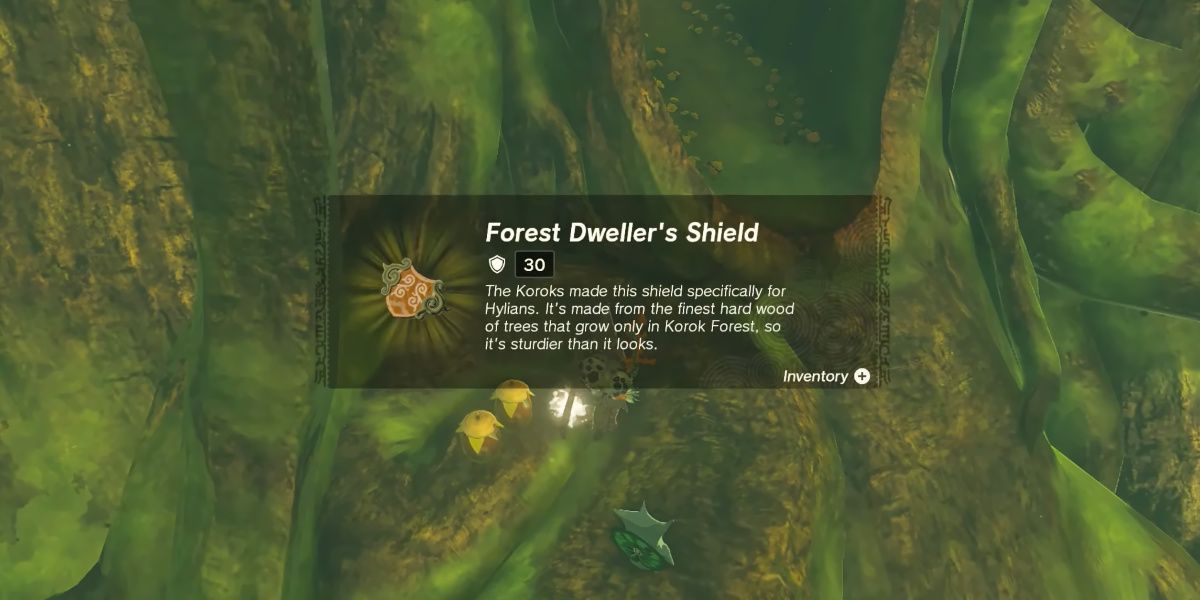 Tears of the Kingdom Forest Dweller's Shield