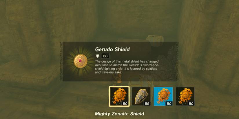 Tears of the Kingdom Gerudo Shield