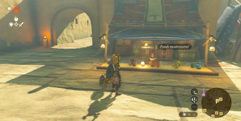 Tears of the Kingdom Gerudo Town Mushroom Stall