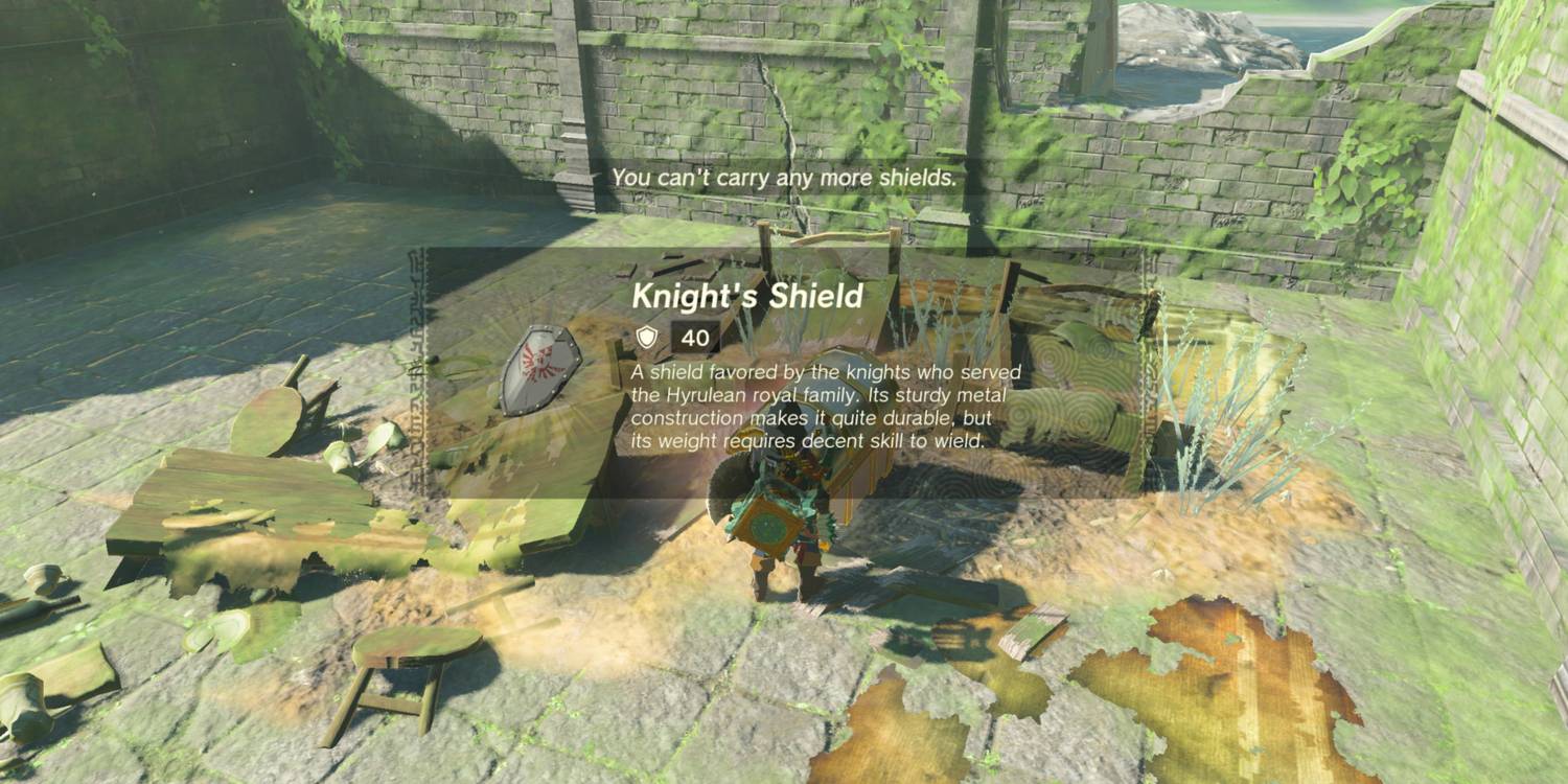 Knight’s Shield