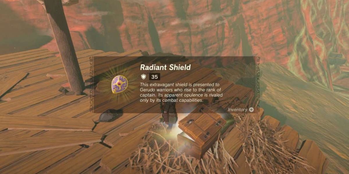 Tears of the Kingdom Radiant Shield