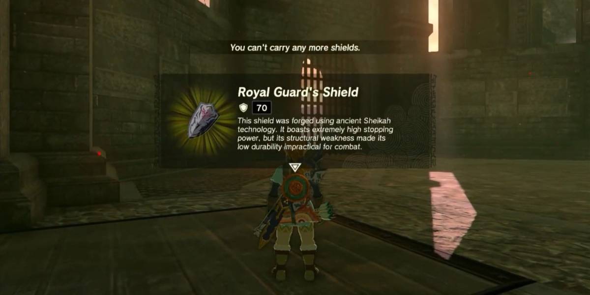 Royal Guard’s Shield