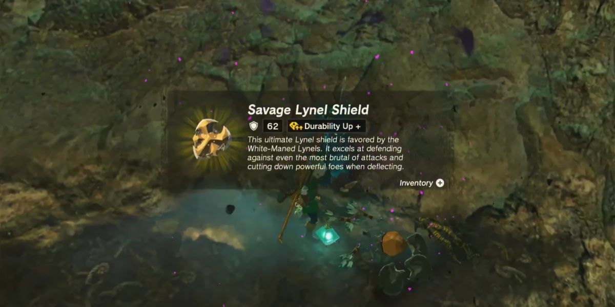 Tears of the Kingdom Savage Lynel Shield