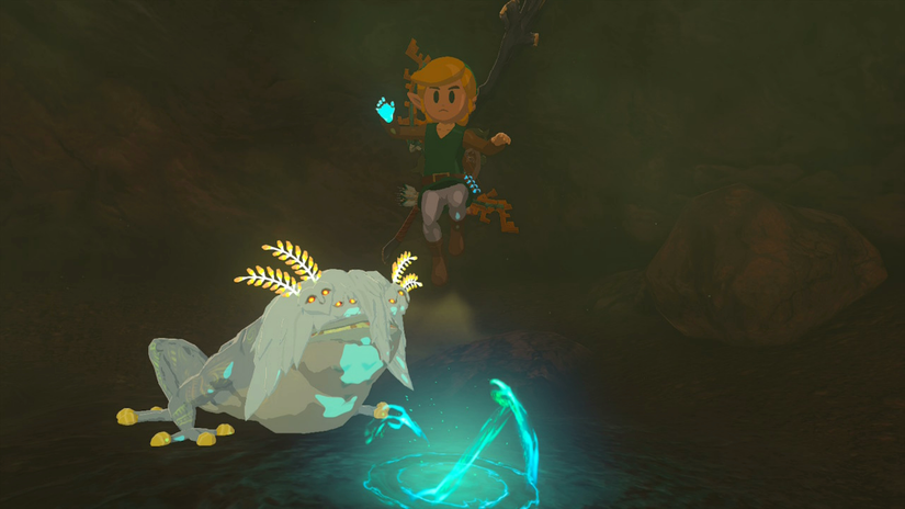 zelda tears of the kingdom bubbelfrog