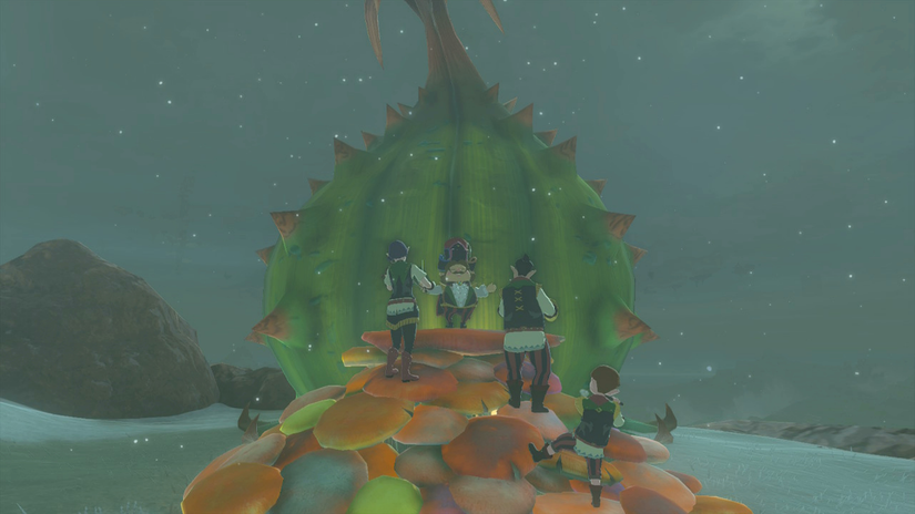 zelda tears of the kingdom serenade to mija