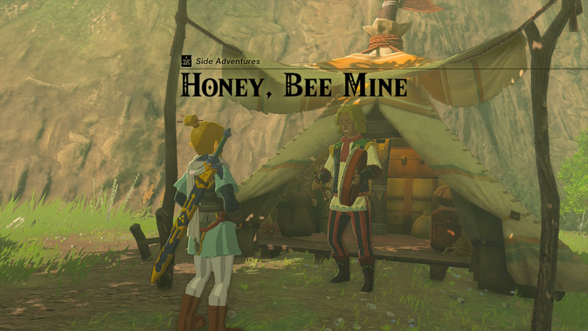 zelda tears of the kingdom serenade to cotera