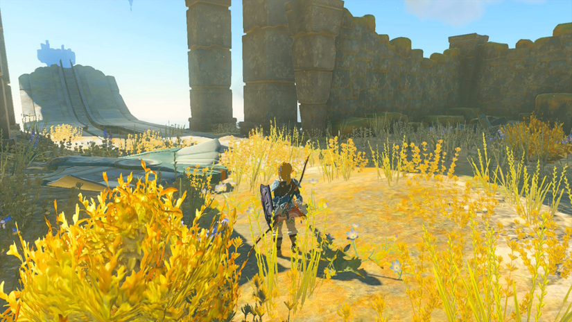 zelda tears of the kingdom ga-ahisas shrine