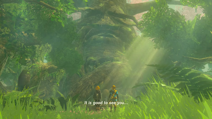 zelda tears of the kingdom deku tree memory 01