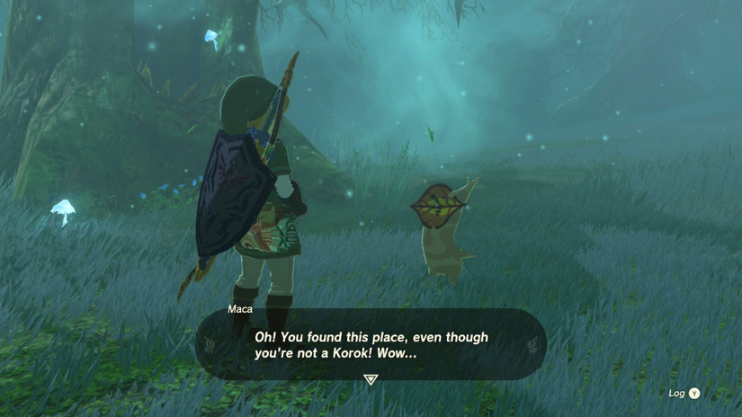 zelda tears of the kingdom maca's special place ninjis shrine