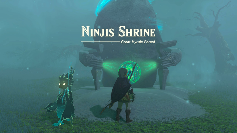 zelda tears of the kingdom maca's special place ninjis shrine