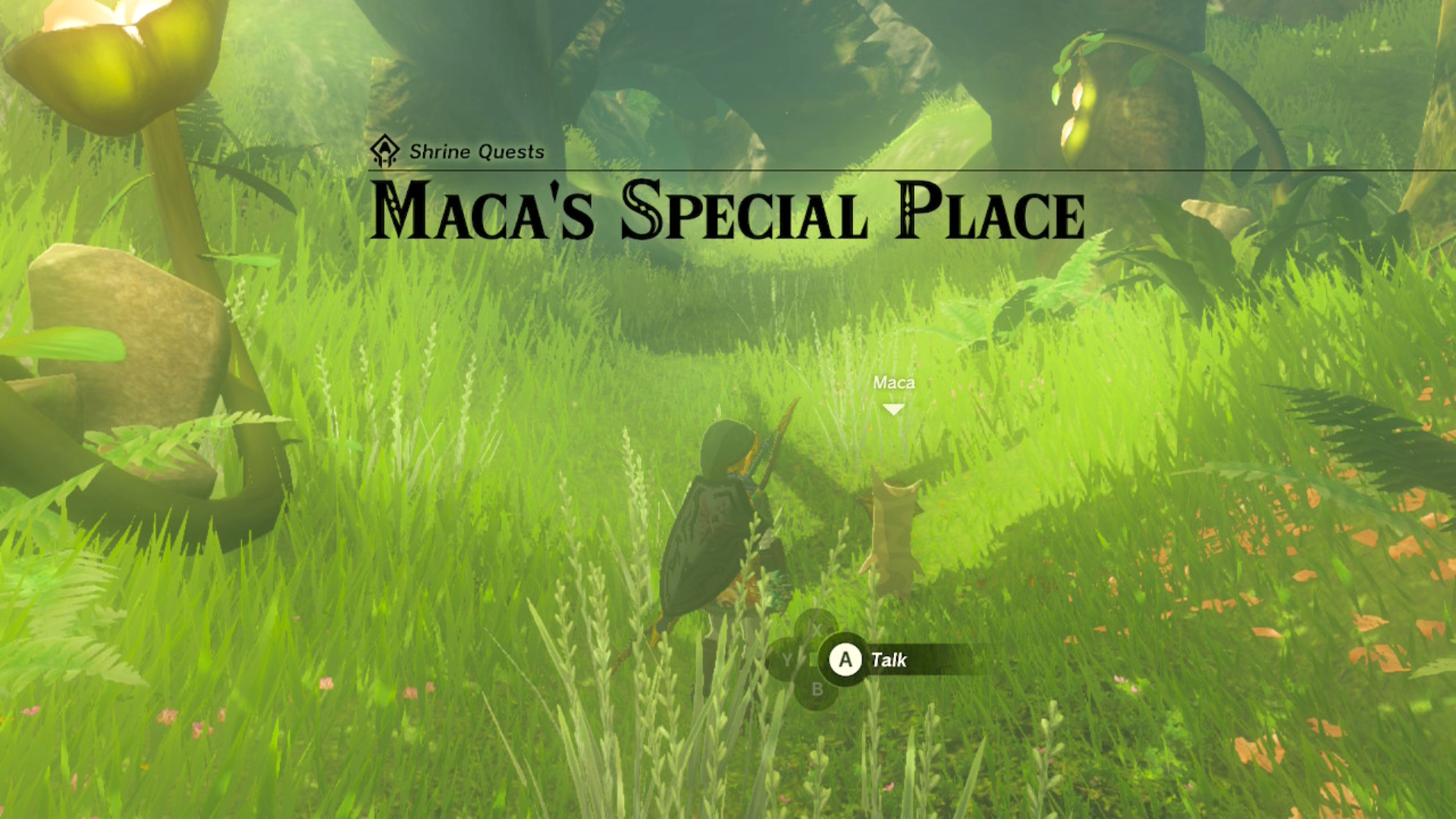 Unveiling the Hidden Secrets of Zelda: Tears of the Kingdom - Maca's Special Shrine Guide