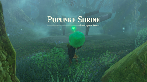 zelda tears of the kingdom pupunke shrine