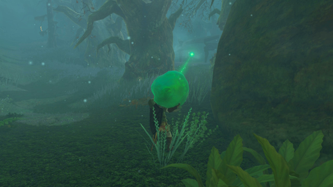 zelda tears of the kingdom pupunke shrine