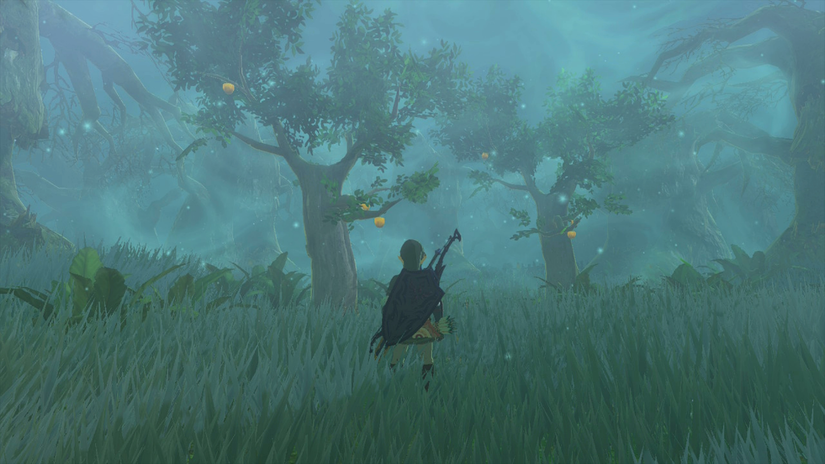 zelda tears of the kingdom pupunke shrine