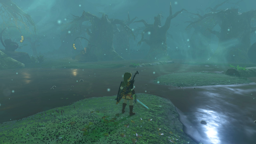 zelda tears of the kingdom pupunke shrine