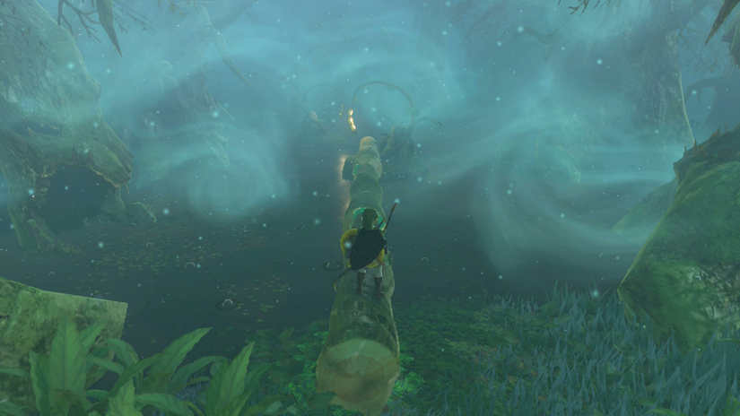 zelda tears of the kingdom pupunke shrine
