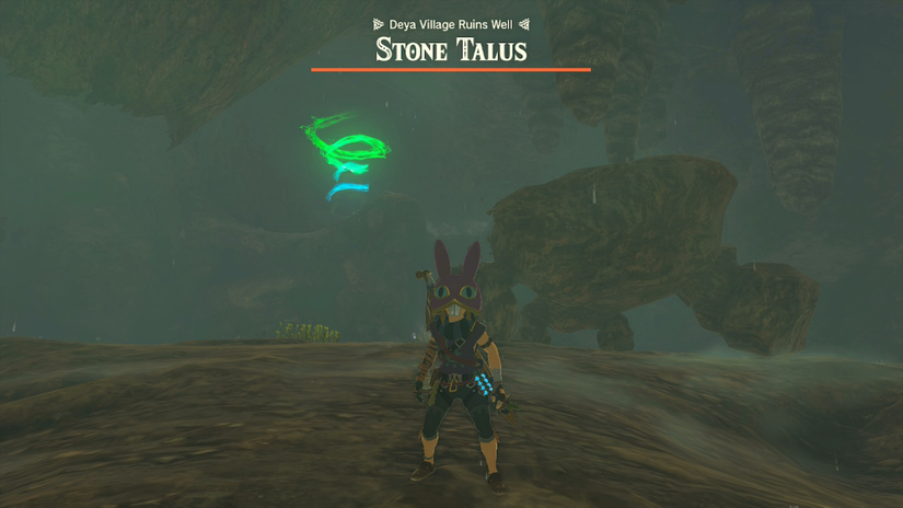 zelda tears of the kingdom susub shrine