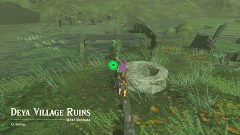 zelda tears of the kingdom susub shrine